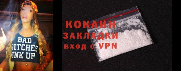 индика Слюдянка